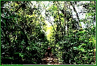 Plonsen - nr. 0198